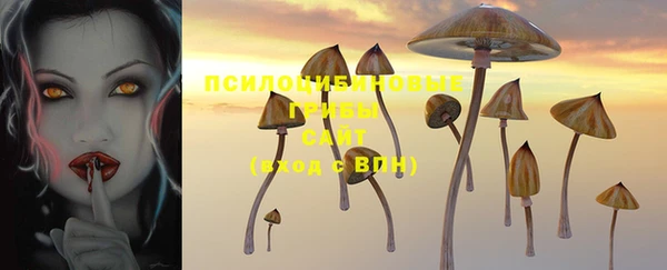 стафф Алзамай