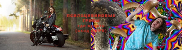 стафф Алзамай