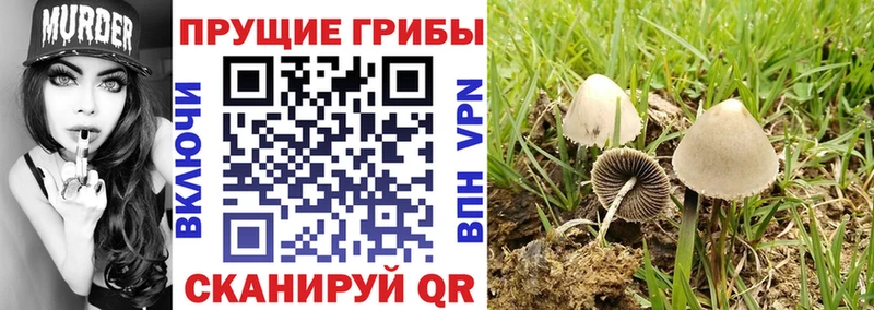 Псилоцибиновые грибы мухоморы  Нурлат 