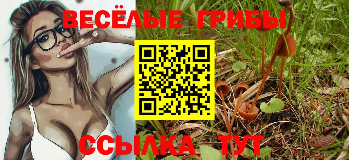 Псилоцибиновые грибы Psilocybe Нурлат